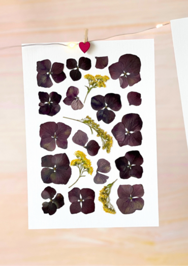 My Atelier des Fleurs