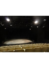 Theater am Gleis Logo