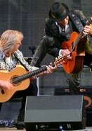 Magic Acoustic Guitars