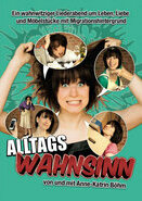 Alltagswahnsinn-das Kabarettical Cover