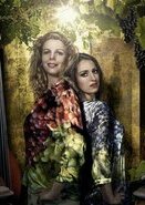 Wein, Weib und Gesang Cover