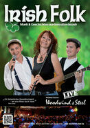 Irish Folk & Entertainment Cover