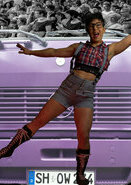 Traveling Theater Truck Cover